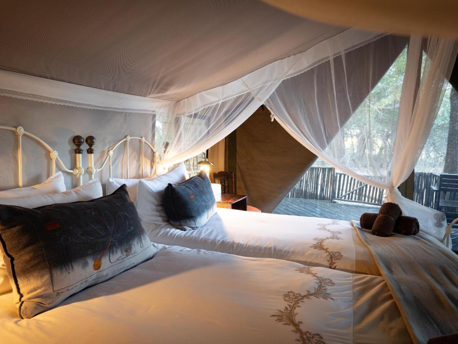 Kwambili Game Lodge 쏜부시 게임 리저브 객실 사진