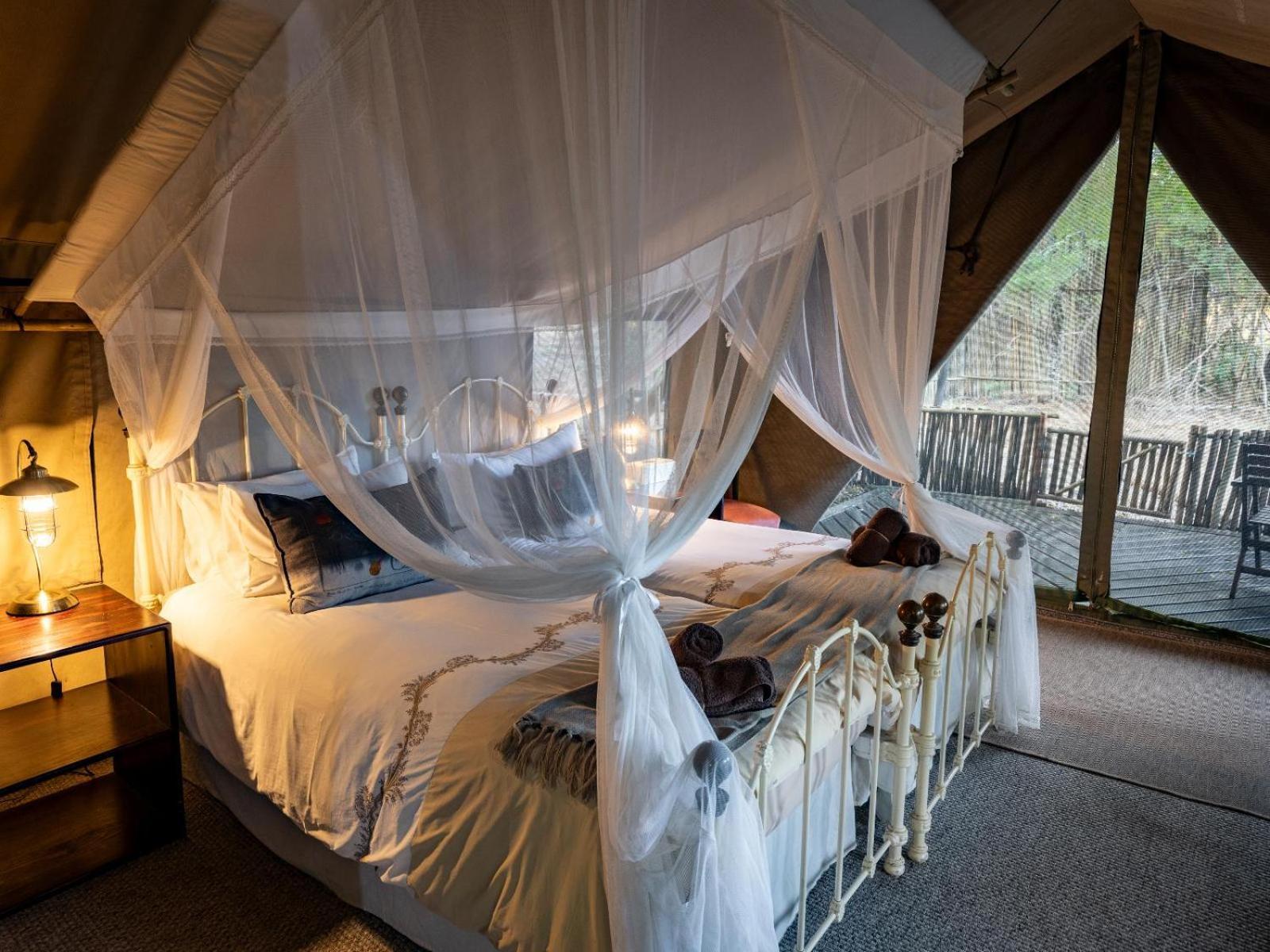 Kwambili Game Lodge 쏜부시 게임 리저브 객실 사진