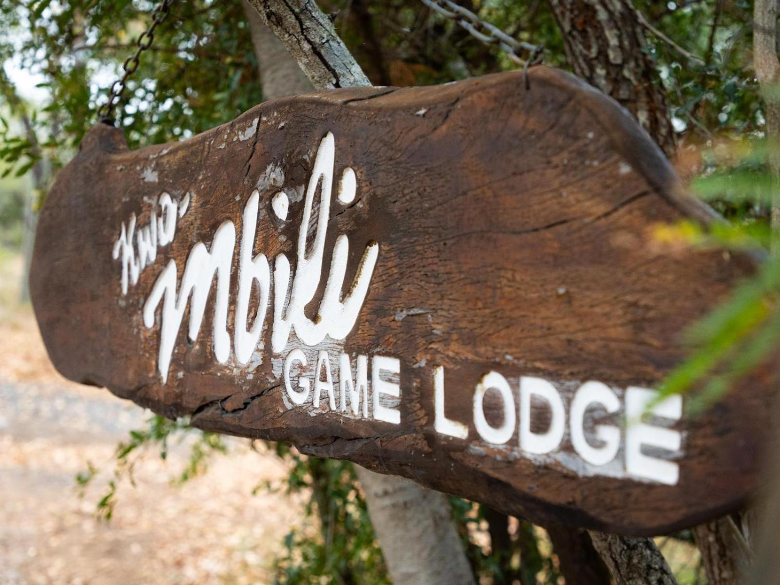 Kwambili Game Lodge 쏜부시 게임 리저브 외부 사진