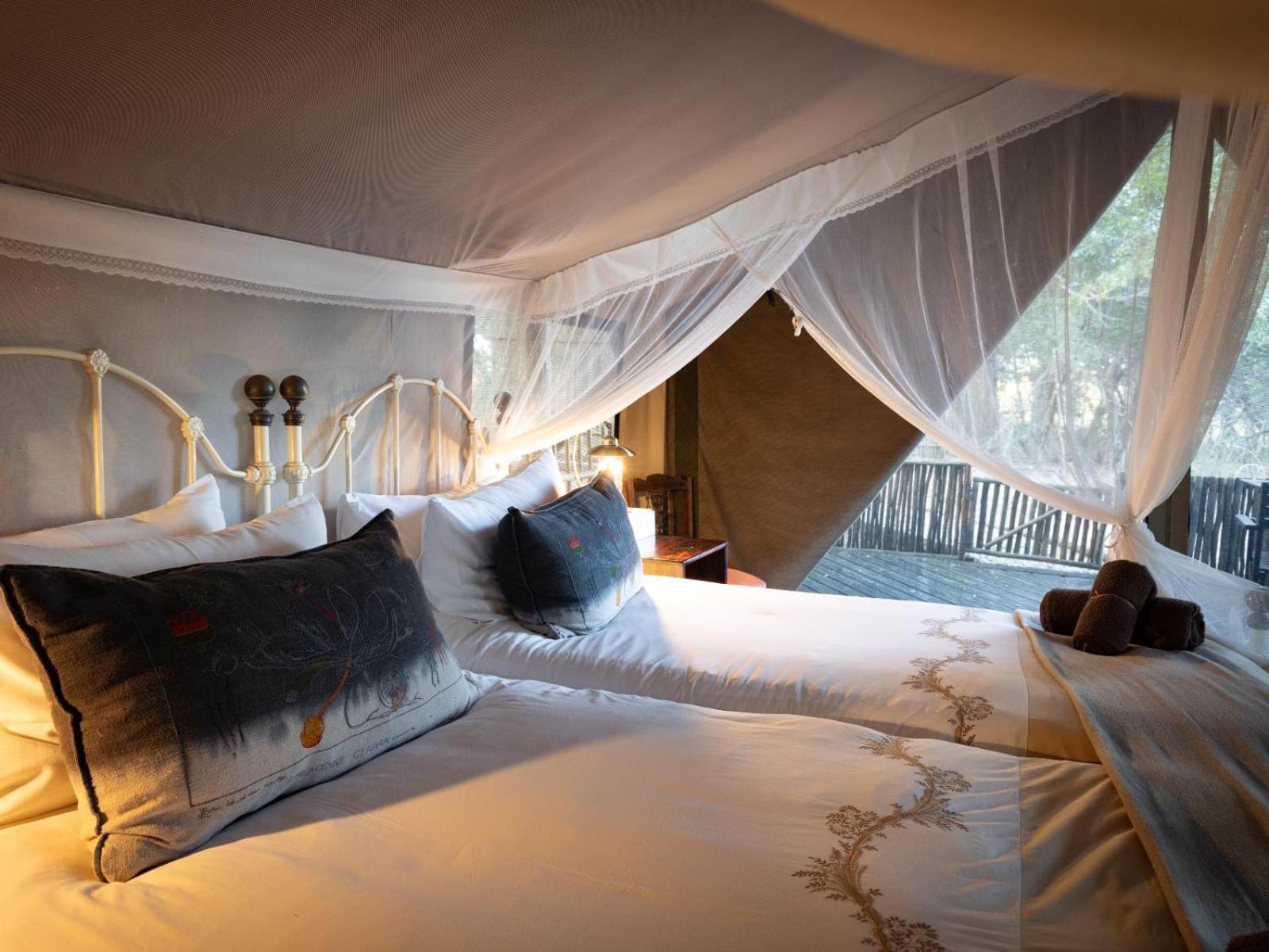 Kwambili Game Lodge 쏜부시 게임 리저브 객실 사진