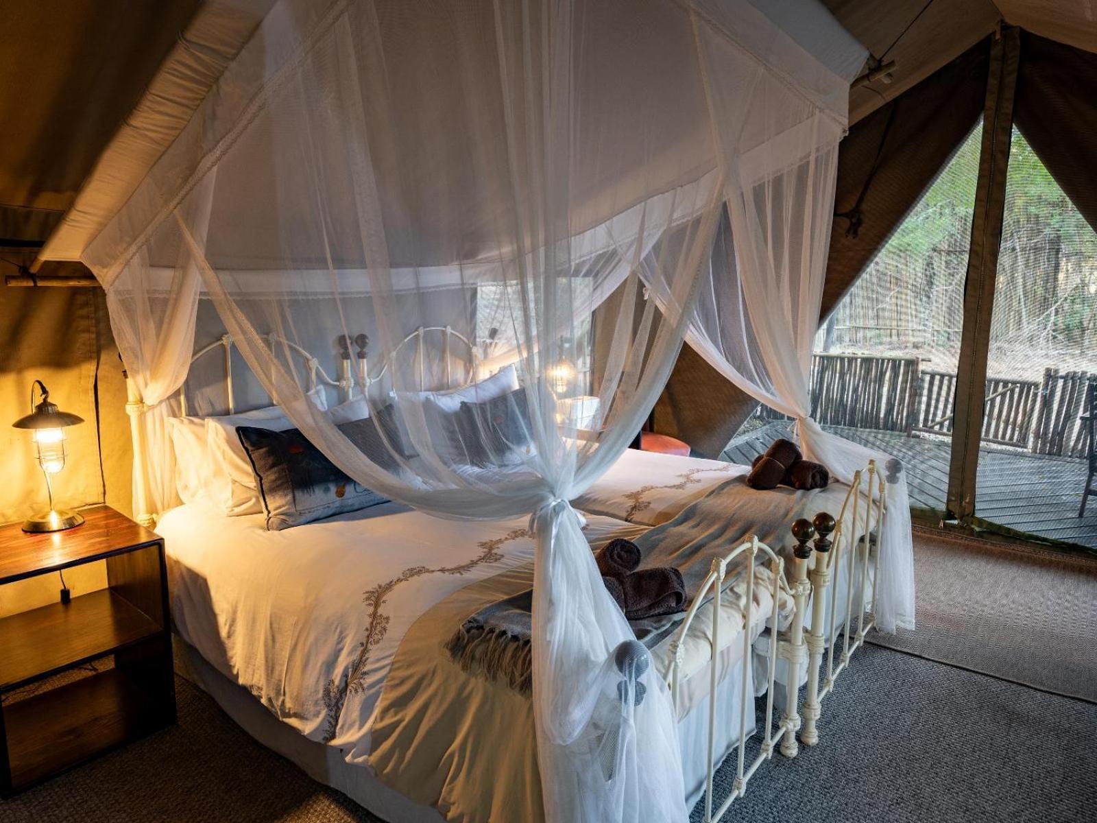 Kwambili Game Lodge 쏜부시 게임 리저브 객실 사진