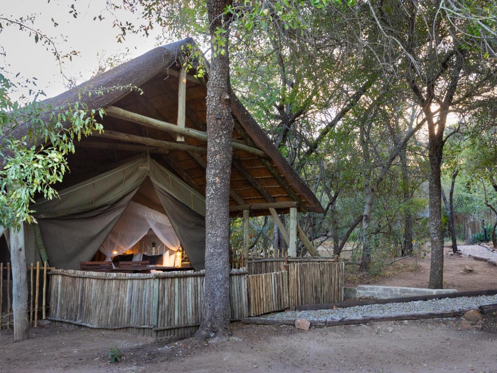 Kwambili Game Lodge 쏜부시 게임 리저브 객실 사진