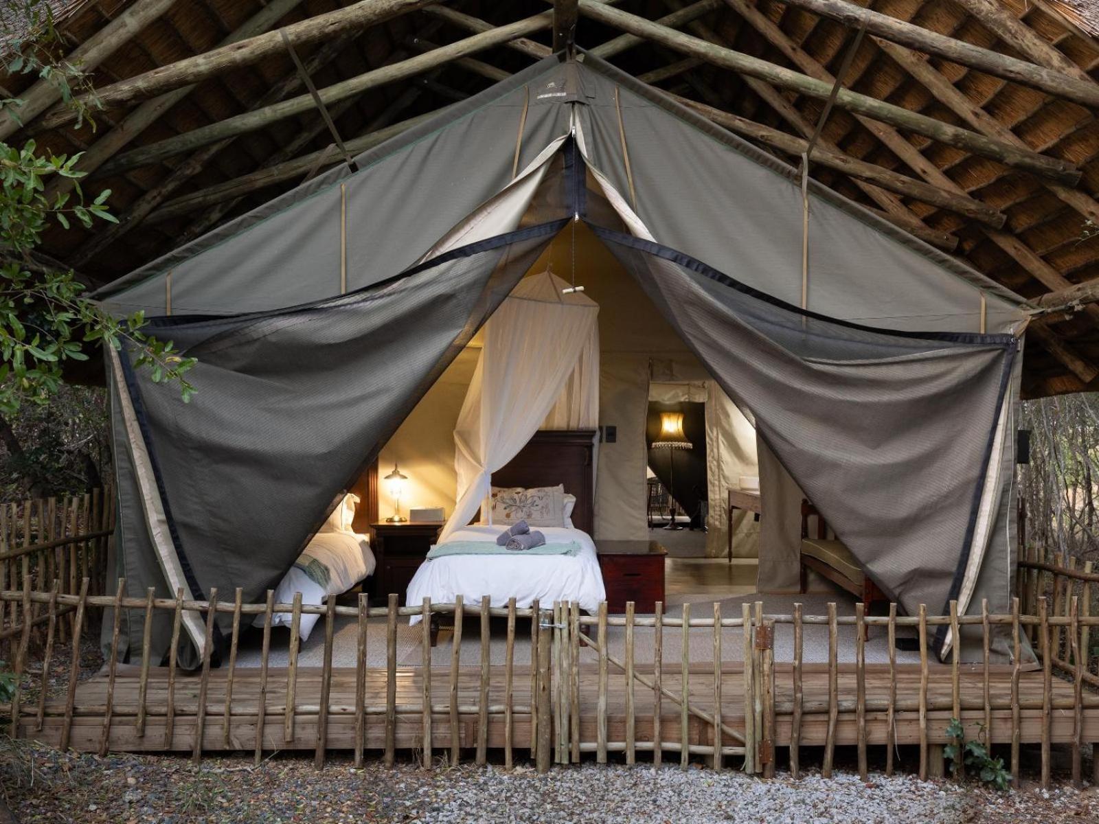 Kwambili Game Lodge 쏜부시 게임 리저브 객실 사진
